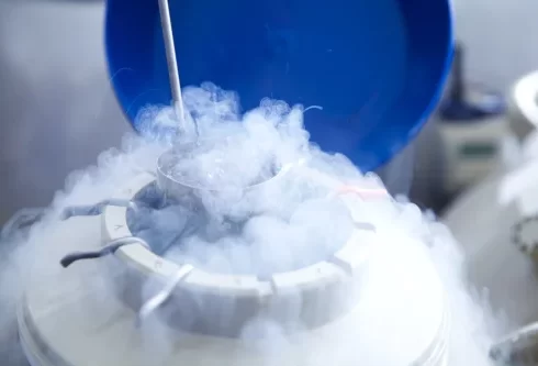 氮在我们日常生活中的核心作用